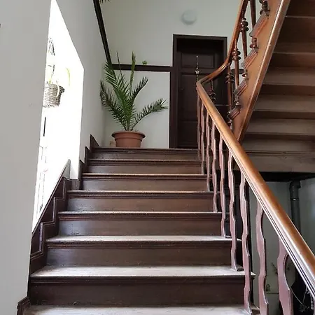 Brockenstuermer 3* فيرنغروده